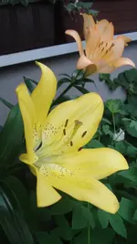 DSC03691.webp