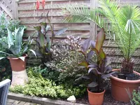 Garten 005.webp