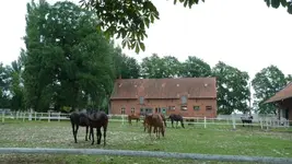Liesken.webp