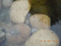 DSCN0889.webp