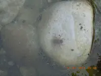 DSCN0886.webp
