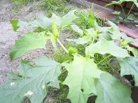 RIMG0139.webp