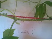 2011-08-01 19.03.50.webp
