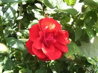 BILD0660.webp