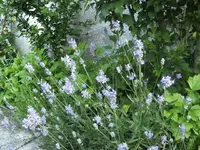 BILD0677.webp