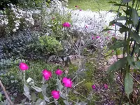BILD0808.webp