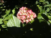BILD0708.webp