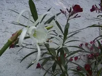 BILD0758.webp