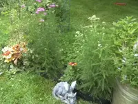 BILD0777.webp