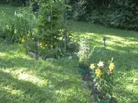 BILD0828.webp