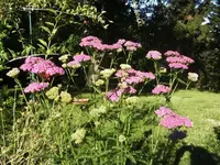 BILD0839.webp