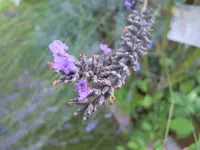 DSCN0050.webp