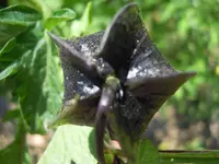 DSCN0055.webp