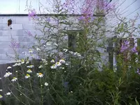 BILD0679.webp BILD0679.webp