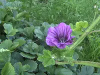 BILD0891.webp