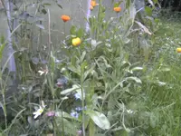 BILD0892.webp