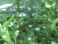 BILD0893.webp