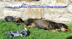 DSC01996.webp
