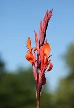 IMG_8740.webp