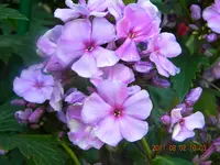 DSCN0668.webp