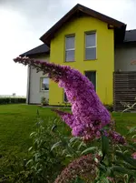 DSCF0779.webp