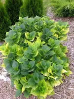 DSCF0789.webp
