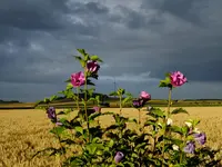 DSCF0821.webp