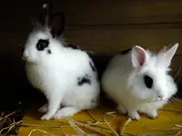 DSCF0828.webp