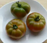 marmandinos_2_8_11.webp