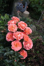 IMG_7600.webp
