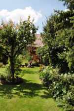 Garten (4).webp