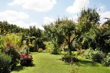 Garten (3).webp