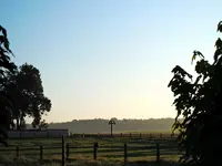 006.webp