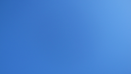 tn_IMG_3855v.webp