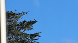 tn_IMG_4515v.webp