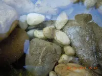 DSCN0908.webp