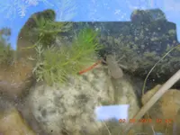 DSCN0906.webp