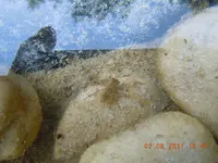 DSCN0910.webp