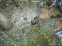 DSCN0893.webp