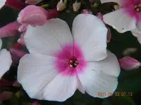 DSCN0679.webp