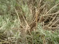Foto0957.webp