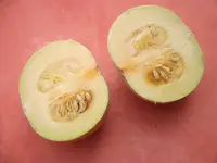 DSCF1043.webp