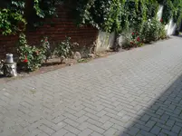 DSC02091.webp