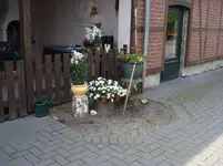 DSC02096.webp