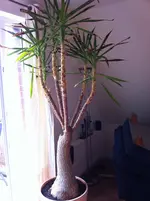 016.webp