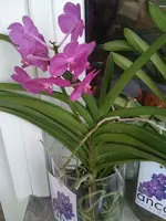 03.08.11 004.webp