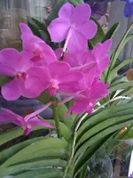03.08.11 008.webp