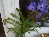 03.08.11 005.webp