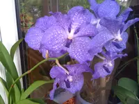 03.08.11 006.webp