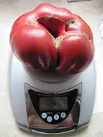 image011.webp